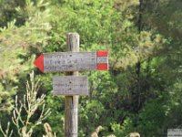 2026-06-30 Il Monte Conero 122